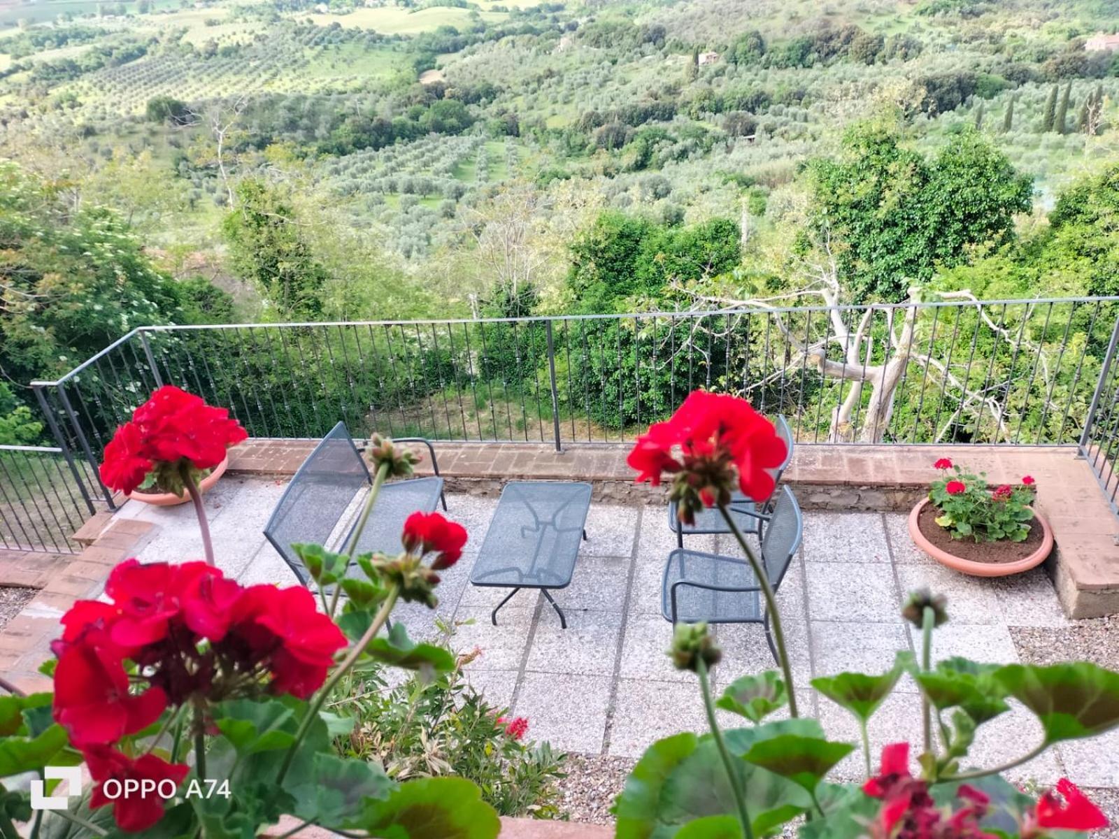 Tenuta Di Montemassi Fattoria Экстерьер фото
